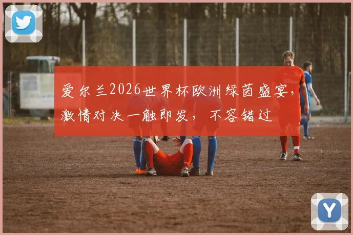 爱尔兰2026世界杯欧洲绿茵盛宴，激情对决一触即发，不容错过