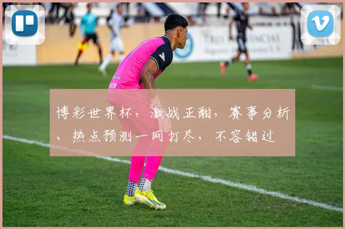 博彩世界杯，激战正酣，赛事分析、热点预测一网打尽，不容错过