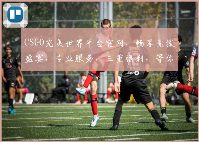 CSGO完美世界平台官网，畅享竞技盛宴，专业服务，三重福利，等你来战，一触即发