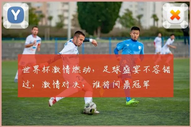 世界杯激情燃动，足球盛宴不容错过，激情对决，谁将问鼎冠军