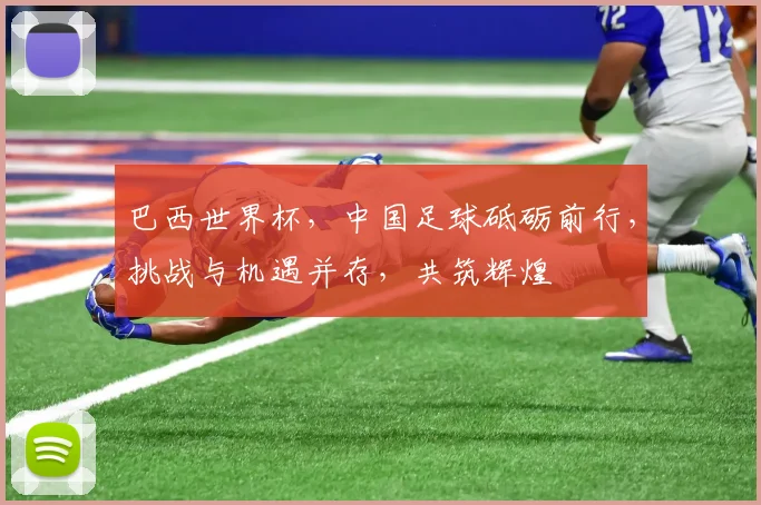 巴西世界杯，中国足球砥砺前行，挑战与机遇并存，共筑辉煌